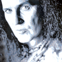 Dave Evans sinner gr